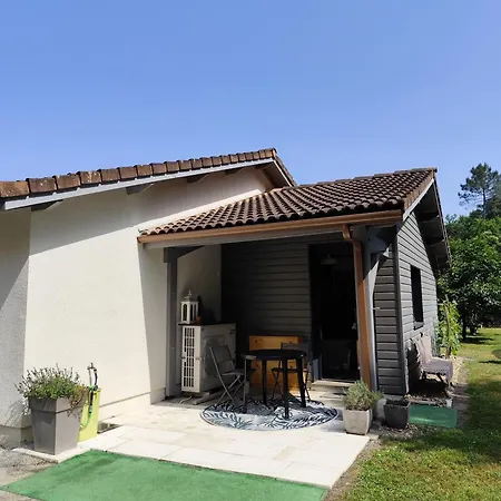 Le Petit Nid Dans Les Bois * Castres-Gironde